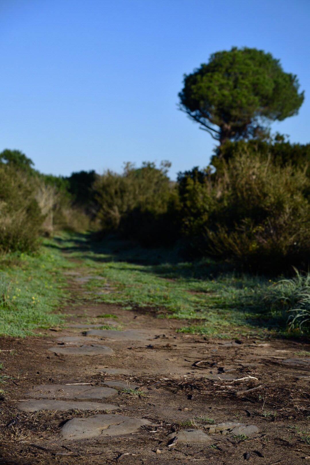 La Via Severiana a Ostia